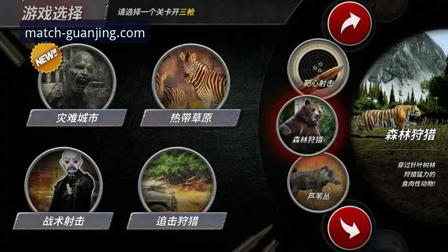 冠竞体育入口地址选择指南：官方正版 vs 第三方镜像的全面对比